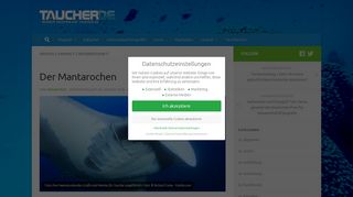 
                            12. Mantarochen - Steckbrief, Größe, Lebensraum, Mantas giftig ...