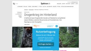 
                            10. Marihuana: Drogenkrieg im Hinterland - Spektrum der Wissenschaft