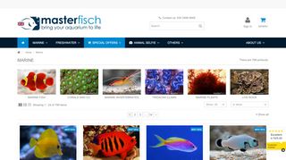 
                            12. Marine - bring your aquarium to life - Masterfisch - MasterFisch UK