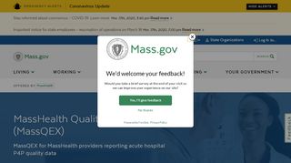 
                            8. MassHealth Quality Exchange (MassQEX) | Mass.gov