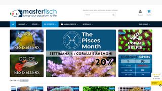 
                            13. Masterfisch : bring your aquarium to life - MasterFisch Italia