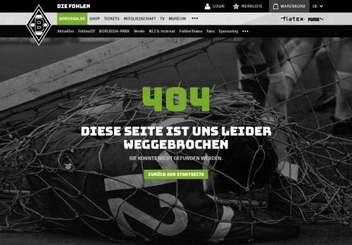 
                            3. Match tickets - Borussia Mönchengladbach