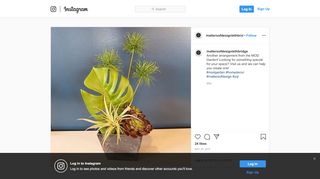 
                            10. Matters Of Design on Instagram: “Another arrangement from the ...
