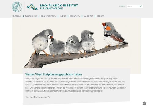 
                            13. Max-Planck-Institut für Ornithologie: Startseite