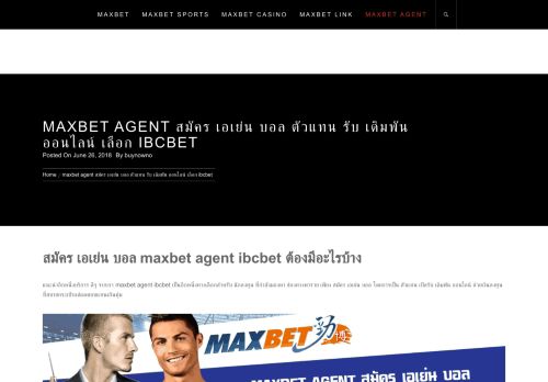 
                            9. maxbet agent สมัคร เอเย่น บอล ตัวแทน รับ เดิมพัน ออนไลน์ เลือก ibcbet