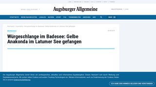 
                            9. Meerbusch: Würgeschlange im Badesee: Gelbe Anakonda im ...