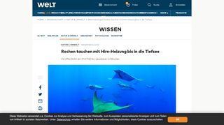 
                            8. Meeresbiologie: Rochen tauchen mit Hirn-Heizung bis in die Tiefsee ...