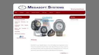 
                            7. MEGASOFT SYSTEMS