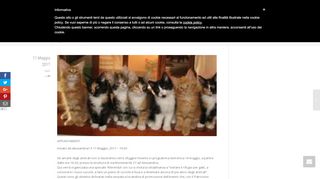 
                            9. Merenda al Rifugio del Gatto - Alessandria Cq24 • Pet Community ...