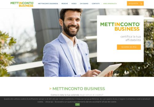 
                            6. Mettinconto Business - Mister Credit