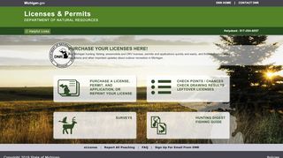 
                            13. Michigan Fishing License