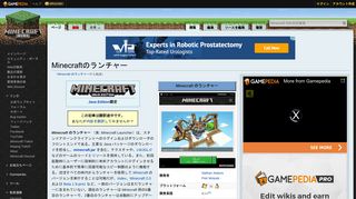 
                            10. Minecraft のランチャー - Minecraft Wiki