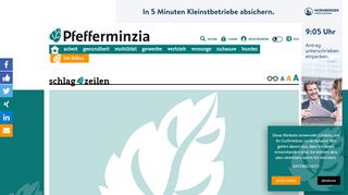 
                            9. Mit Procheck24 zur eigenen Maklerhomepage | Pfefferminzia - Das ...