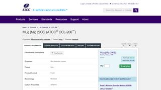 
                            13. MLg [Mlg 2908] ATCC ® CCL-206™ Mus musculus lung normal