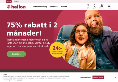 
                            4. Mobilabonnemang & Kontantkort från din mobiloperatör hallon.se