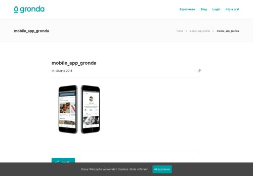 
                            13. mobile_app_gronda | Gronda