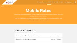
                            10. Mobile Call and TXT Rates / Slingshot Broadband