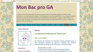 
                            5. Mon Bac pro GA: Cerise