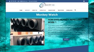 
                            12. Monkey Watch | bdsmart