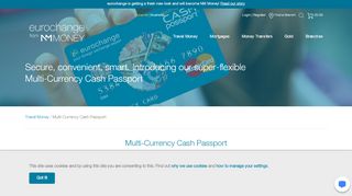 
                            7. Multi-currency cash passport, Cash passport UK - eurochange UK
