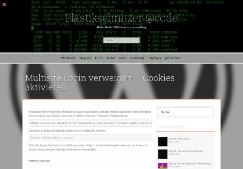 
                            6. Multisite Login verweigert – Cookies aktivieren - Plastikschnitzer @code