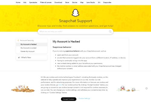 
                            11. My Account is Hacked - Snapchat Support