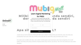 
                            13. My Big Mall - internet dan digital marketing - OnlineD7