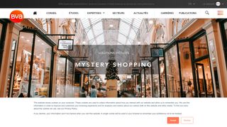 
                            4. Mystery Shopping - BVA Group
