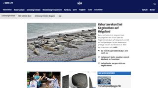 
                            11. Nachrichten aus Schleswig-Holstein | NDR.de - Nachrichten ...