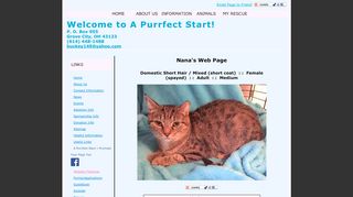 
                            10. Nana's Web Page - A Purrfect Start