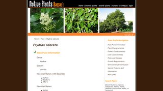 
                            7. Native Plants Hawaii - Viewing Plant : Psydrax odorata