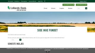 
                            8. Netbank support | Lollands Bank