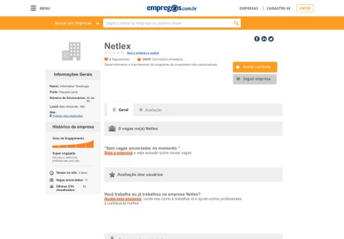 
                            10. Netlex - O que fazemos e Trabalhe conosco | Empregos.com.br