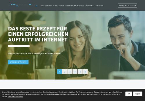 
                            2. NETZCOCKTAIL entwickelt erfolgreiche Websites