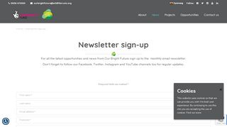 
                            12. Newsletter sign-up – Our Bright Future