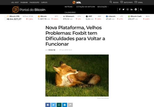 
                            13. Nova Plataforma, Velhos Problemas: Foxbit tem Dificuldades para ...