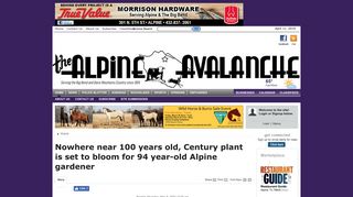 
                            12. Nowhere near 100 years old, Century plant is set ... - Alpine Avalanche