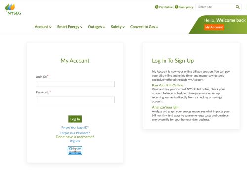 
                            12. NYSEG : Log in