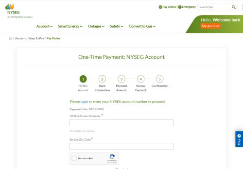 
                            3. NYSEG: One-Time Payment