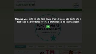 
                            8. O site da Rede AgroServices está de cara nova! - Bayer Agro Services