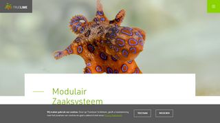 
                            7. Octopus portaal - TrueLime