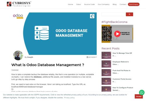
                            3. Odoo Database Management - Cybrosys Technologies