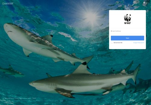 
                            1. OneWWF - The global intranet for WWF