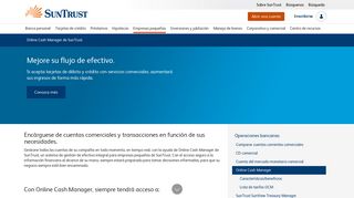 
                            13. Online Cash Manager | Sistema de gestión de ... - SunTrust Bank