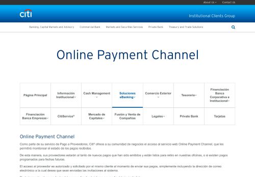 
                            2. Online Payment Channel - Citi.com