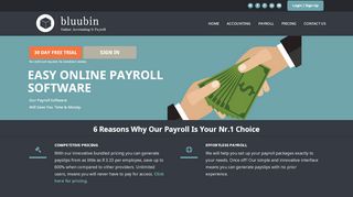 
                            10. Online Payroll Software | BluuBin