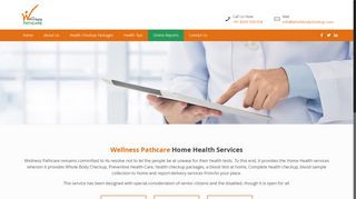 
                            5. Online Reports - Wellness Pathcare