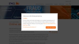 
                            10. Online security | ING WB