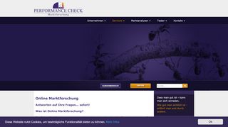 
                            4. Onlinemarktforschung: Performance Check