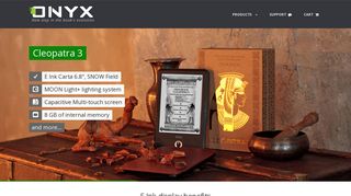 
                            11. ONYX BOOX eBook Readers and Android EInk Tablets - USA